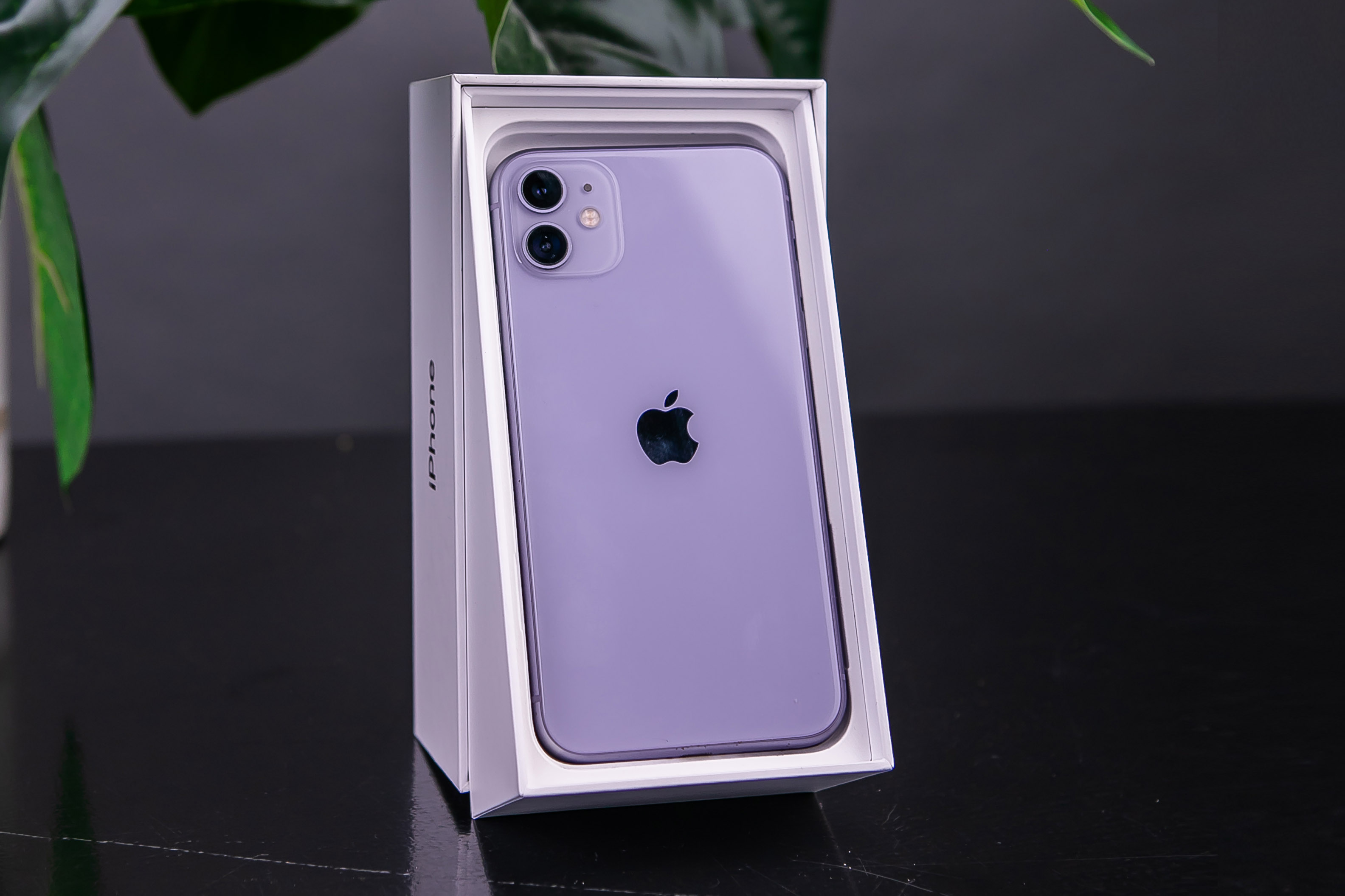 iPhone 11 256gb, Purple (MWLQ2) б/у